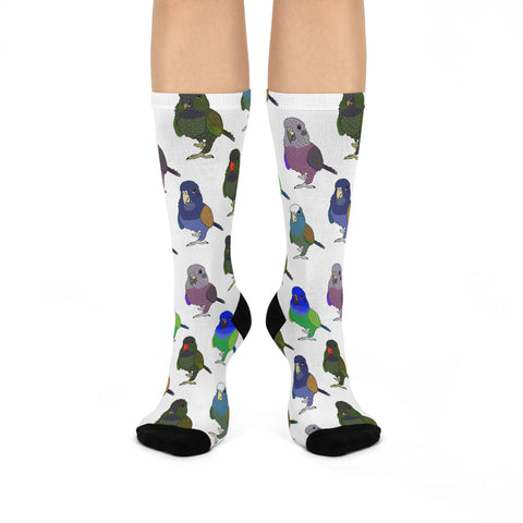 Pionus Cushioned Crew Socks